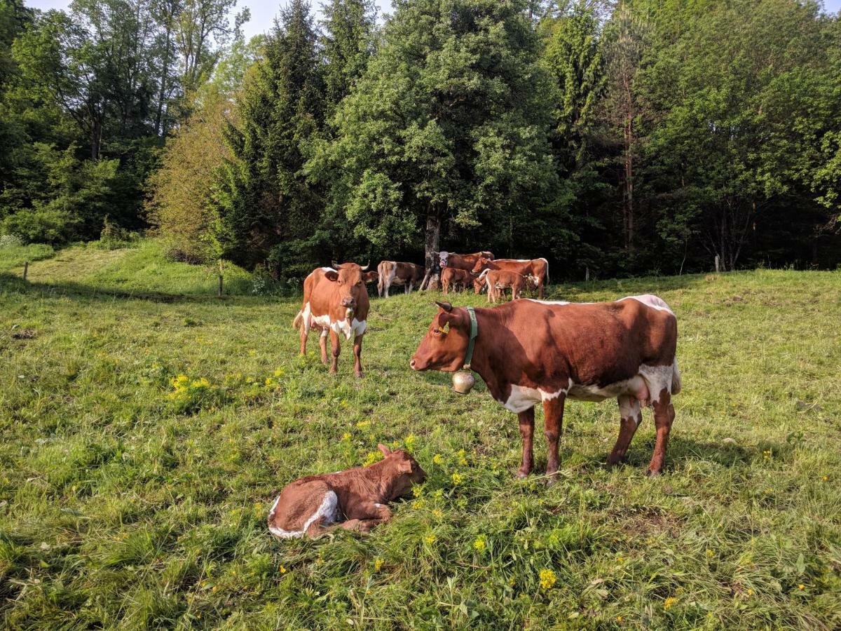 Puzman Farm Glamping Villa Radovljica Eksteriør billede